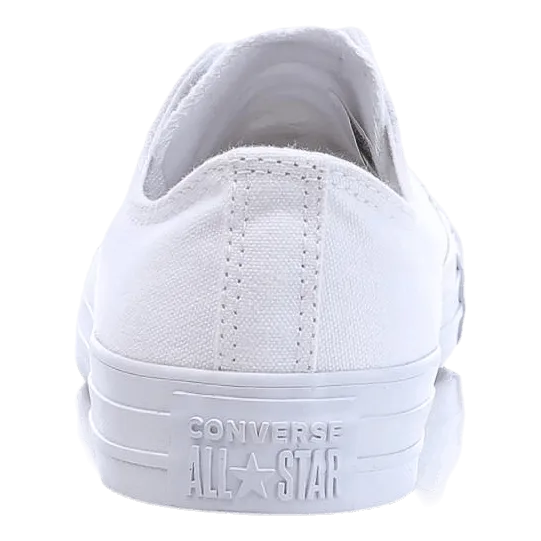 All Star Specialty White