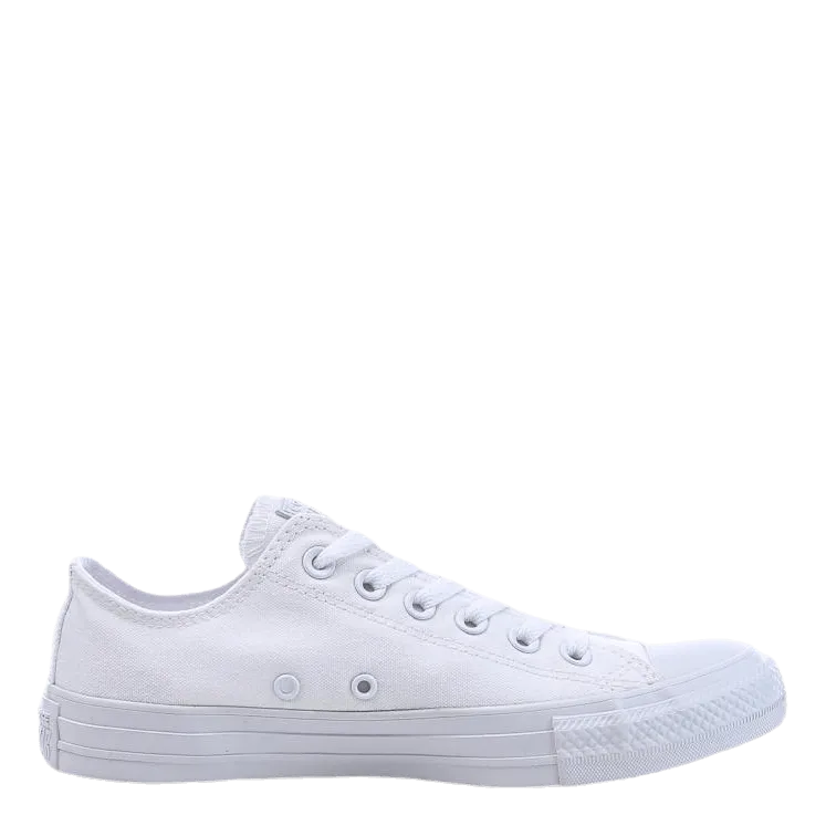 All Star Specialty White