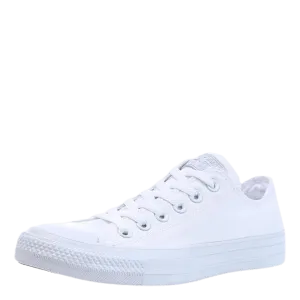All Star Specialty White
